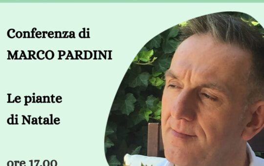 marco pardini