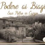 Estate al Podere Biagi – Formenton Ottofile
