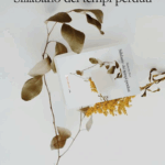 Sillabario dei tempi perduti.